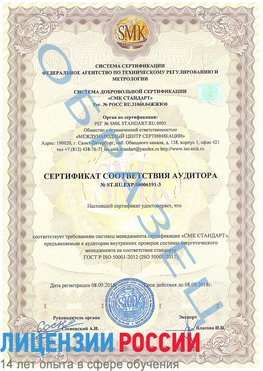 Образец сертификата соответствия аудитора №ST.RU.EXP.00006191-3 Нижнегорский Сертификат ISO 50001